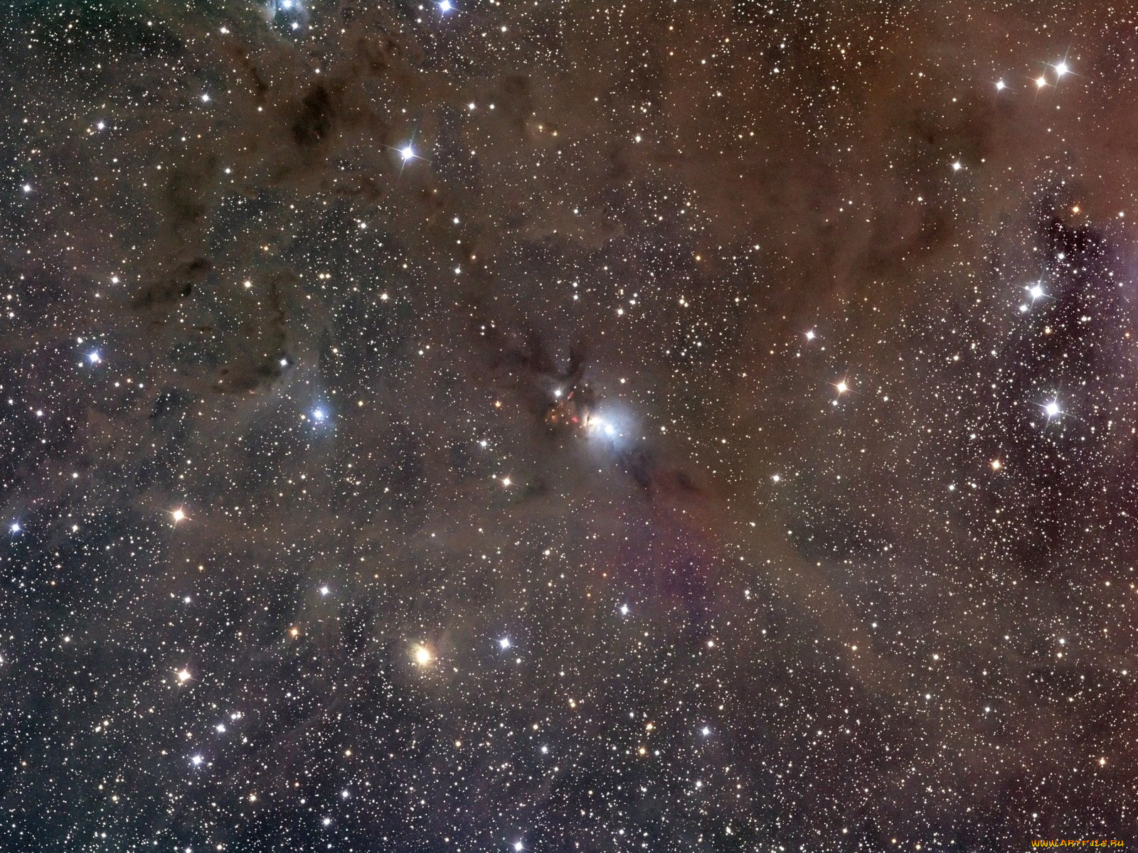 Обои NGC1333 и Звездная пыль Космос Звезды/Созвездия, обои для рабочего  стола, фотографии ngc1333, звездная, пыль, космос, звезды, созвездия Обои  для рабочего стола, скачать обои картинки заставки на рабочий стол.
